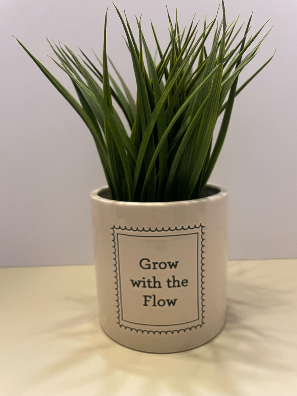 Planter. “Grow with the Flow” Ceramic Pot. Plant not included.